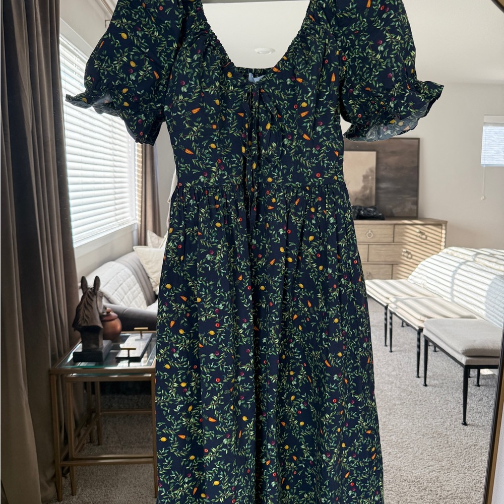 Hill House Ophelia Dress in Rare Midnight Garden Print